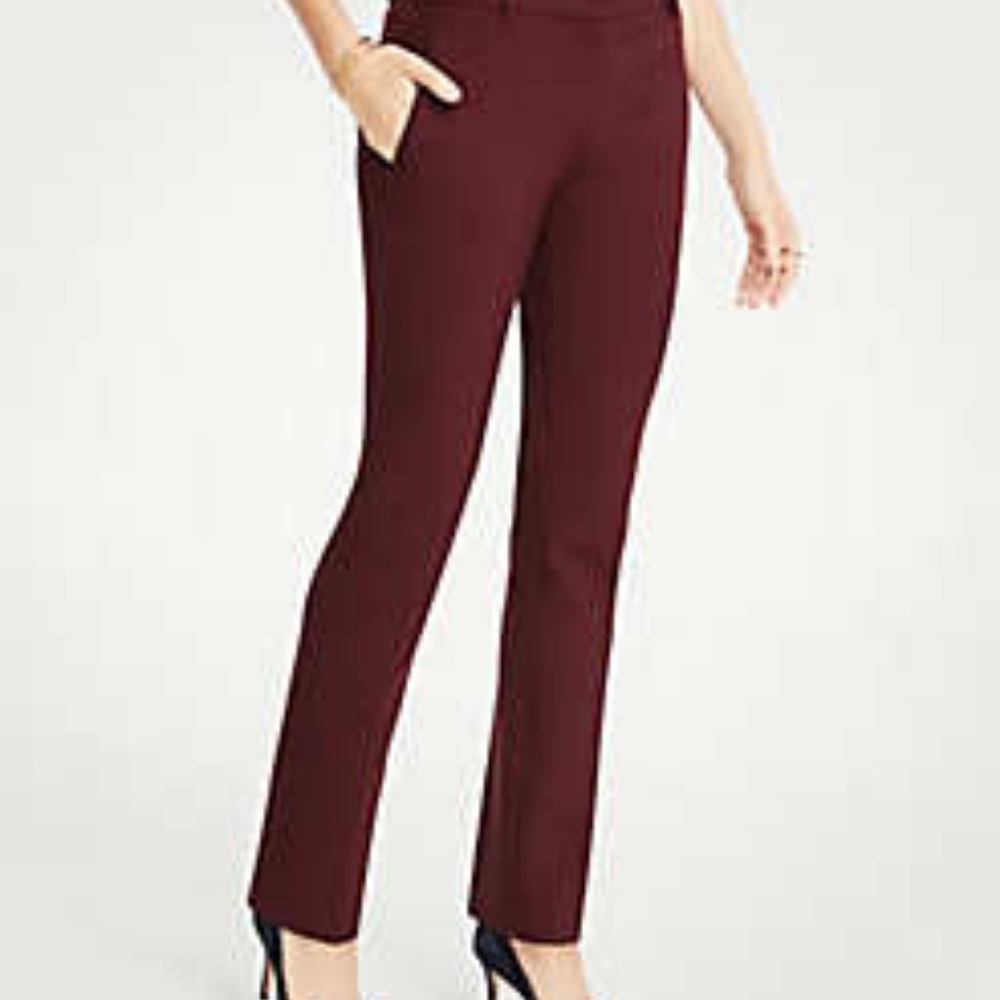 Ann Taylor LOFT Kate Pants in Classic Plum